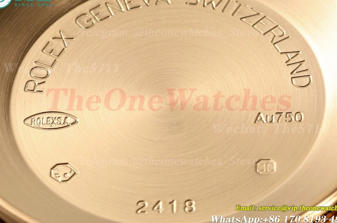 SH3255(Tungsten 40mm THBF Grey Dial Heavy RG RG Version) DayDate 228235 0420